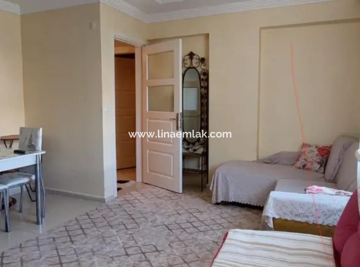 Didim Çamlik Mh Zu Verkaufen 1 1 Offene Küche Front Wohnung Mit Pool